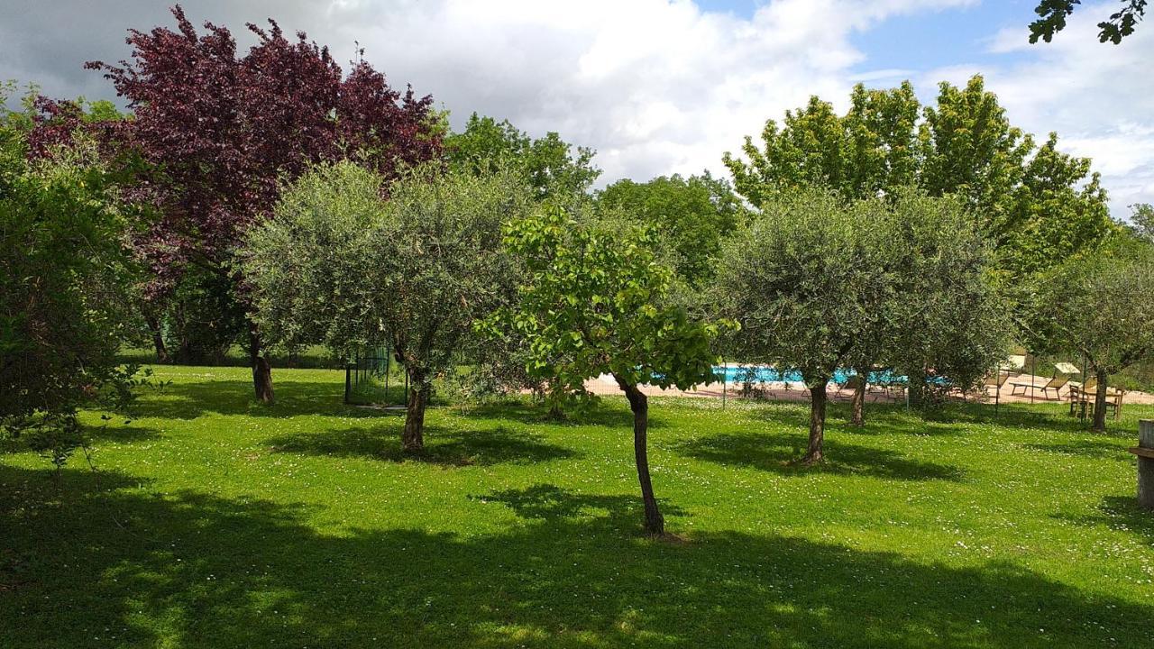 La Vecchia Fornace Casa de hóspedes Cortona Exterior foto